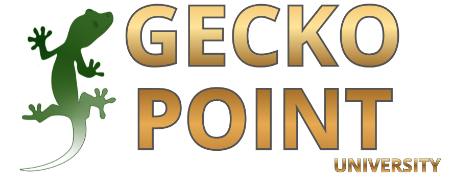 Gecko Point